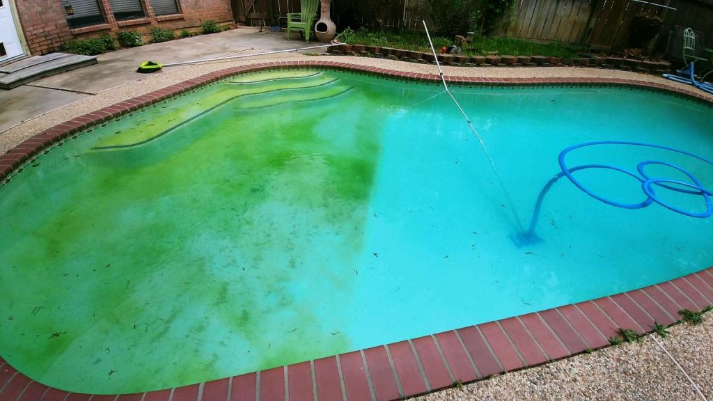 Green to Clean pool cleaner